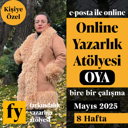 Bire Bir Çalışma: Online Yazarlık Atölyesi OYA (E-posta Üzerinden)